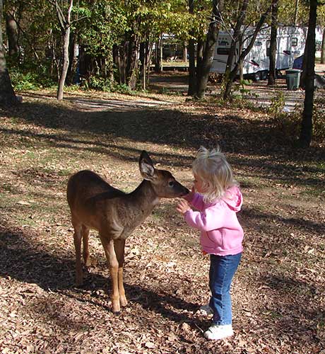Kid With Baby Deer