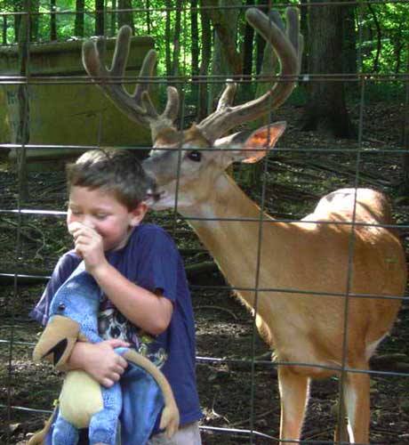 Boy With Deer